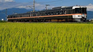 (収穫間近の稲と身延線)JR東海313系3000番台、373系　ワンマン鰍沢口行き、特急ふじかわ静岡行き