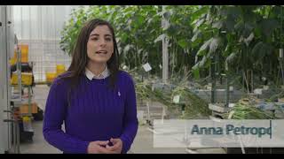 AGROS: working towards autonomous greenhouses