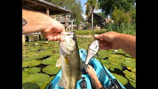 Burning bank with the 86 baits Doomrider shad glide.