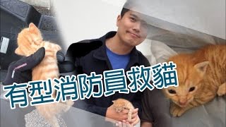 初生貓貓闖獅隧公路  鐵騎暖男救走like!