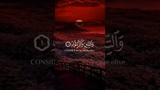 Surah At-Tin|سورة التين|quran recitation really beautiful amazing crying|مشاري بن راشد العفاسي