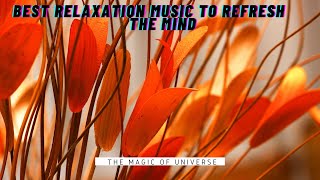 30 Minutes Beautiful Relaxation Music To Sleep | Sleep Meditation | Universe The New Beginning