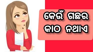 Odia Dhaga Dhamali Question Answer || Odia Funny Questions||Odia Dhaga Dhamali Prashn||Odia Riddles