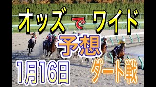 【競馬予想】1月16日　自己流のオッズ法とデータを使いダート戦だけを予想します。