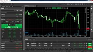 cTrader Web - User Time Offset