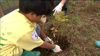 「私たちを超えるくらいの大きさになって」復興祈念公園にハマナスやハマギクなど1400本を植樹　宮城・石巻市