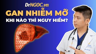 Gan Nhiễm Mỡ Khi Nào Thì Nguy Hiểm