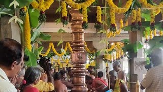 Rajapalayam - Puthuppalayam patchamadam Mariyamman temple pookkuli-kodiyetram