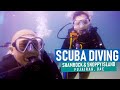 DIVE Underwater Adventures: Scuba Diving in Shamrock & Snoopy Island, Fujairah UAE