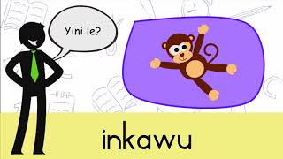 isiZulu What is that - Animals 28(a)