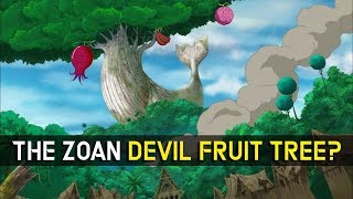 Theory The Whale Tree in Zou Island is the Tree of Zoan Devil Fruits?