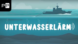 Erklärfilm - Deutsches Meeresmuseum | UNTERWASSERLÄRM