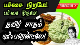 என்றா பசுபதி இந்த தயிர் சாதம் பச்சை கலர்ல இருக்கு? #Green colour Curd Rice #Recipe