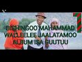 bishingoo best oromoo music full album