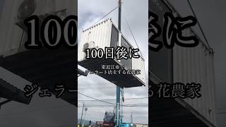 100日後に東近江市でジェラート店をする花農家です。あと100日 #エディブルフラワー #農業 #滋賀県