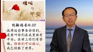 《平安何處尋》3. 信心与平安 馮偉牧師 2020年8月15日