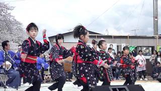 Traditional Dance at Kakunodate Cherry Blossom 角館の桜・手踊り舞台