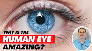 Why is the Human Eye so Amazing?