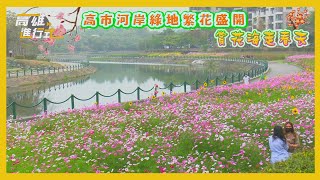 賞花海走春去 高市河岸綠地繁花盛開 ◆高雄進行式2023