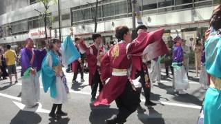 銀座柳まつり'17 よさこい ドリーム乱舞 総踊り