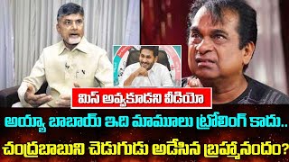 అయ్యబాబోయ్ ఇది మామూలు ట్రాలింగ్ కాదు .. చంద్రబాబు ని చెడుగుడు ఆడేసిన బ్రహ్మానందం?