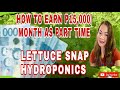 HOW TO EARN P15,000.00/MONTH: LETTUCE SNAP HYDROPONICS||RaChelOnTv