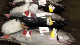 Honolulu Tuna Auction