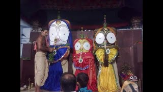 Shree Baladev Jew Rathayatra