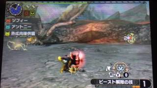 【MHXX】どたばた！上級ニャンタークエスト　リオレイス編