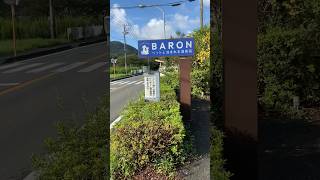 南伊豆町にあるペットと泊まれる温泉宿BARONに宿泊してきました〜楽しい時間をありがとう✨✨✨ #ゴールデンドゥードル #dog #dogshorts #犬 #shorts #crab