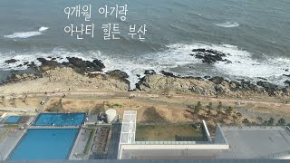 부산 아난티 힐튼. 9개월아기랑. 다모임 조식. 오션뷰. ⍥육아브이로그