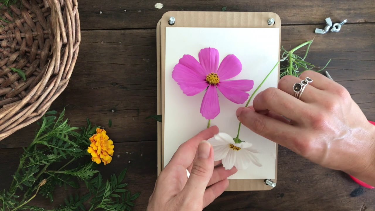 How To Flower Press Youtube