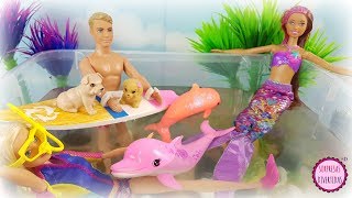 Ver Barbie Y Los Delfines Mágicos (2017) Pelicula Completa En Español Latino Gratis