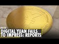 China's much-hyped digital Yuan fails to impress | Business and Economy | Latest English News