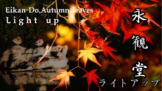 【夜・京都】永観堂　夜枫：Eikan-do ，autumn leaves ，light up | 紅葉ライトアップ | Kyoto Japan Autumn  | #永観堂ライトアップ#秋