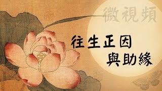 淨土宗微視頻：往生正因與助緣（慧淨法師）