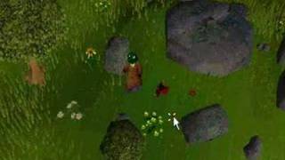 runescape quitting dropping my stuff