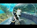 visit with us ripley’s aquarium of canada toronto ontario 2023@ripleysaquariumofcanada