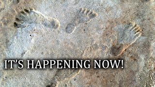 This NEW Discovery in Mexico Will Change History!