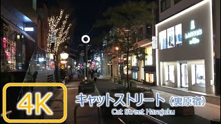 [夜散歩] キャットストリート（裏原宿） Cat Street, Harajuku Tokyo [4K 60fps]