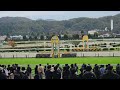 福島競馬場での障害戦。