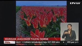 Marisam Jansonam tulpju šķirne