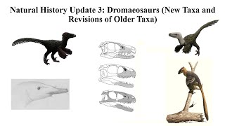 Dromaeosaurs: New Taxa and Revisions of Older Taxa | Natural History Update 3