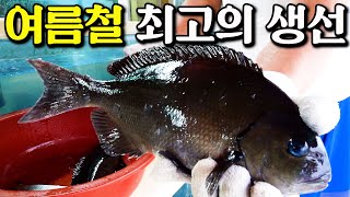 최근 가장 인기 어종인 긴꼬리 벵에돔, 과연 맛도 있는지 먹어 봤는데 의외의 결과가...!! [박과장TV]