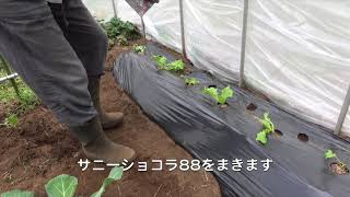 菜園だより180319苗植え・種まき