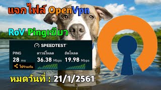 แจกไฟล์ OpenVpn True เล่นRoV ได้ Server Thai