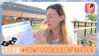 Hoe combineer je school en paarden? | Feline | PennyTV