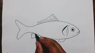 How to draw a Fish step by step
