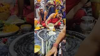 #jai_bhole_nath #harharmahadev #babadhamdeoghar #deoghar #trending #viralvideo #shorts #om #shiv