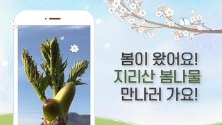 봄 향기 베여있는 싱그러운 지리산 봄나물 즐겨봐요.